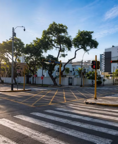 PROYECTO PALMERAS